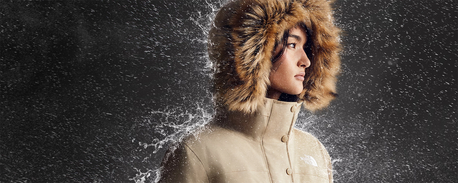 The Most Celebrated Clothiers in the States: Why They’ve Been Successful