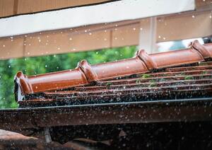 The Dangers of Ignoring Roof Leaks