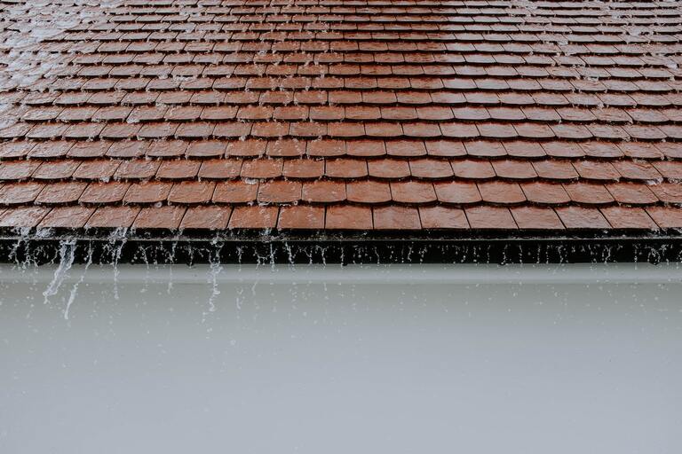 The Dangers of Ignoring Roof Leaks