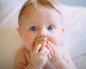 Baby Teeth - Interesting Facts You Should Know