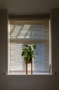 How to Choose the Perfect Shutters for Your Home's Windows