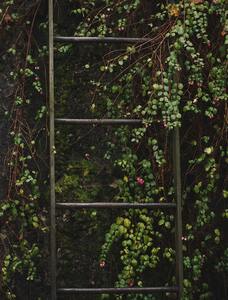 What's Your Landscape Vision? 6 Elements to Consider for a Beautiful Yard