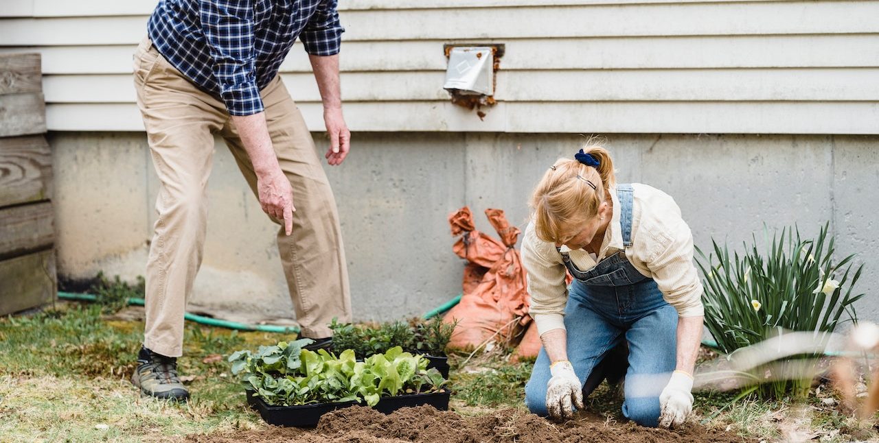What's Your Landscape Vision? 6 Elements to Consider for a Beautiful Yard