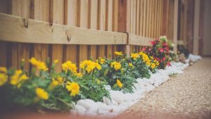 Reasons to Invest in Landscaping for Your Property