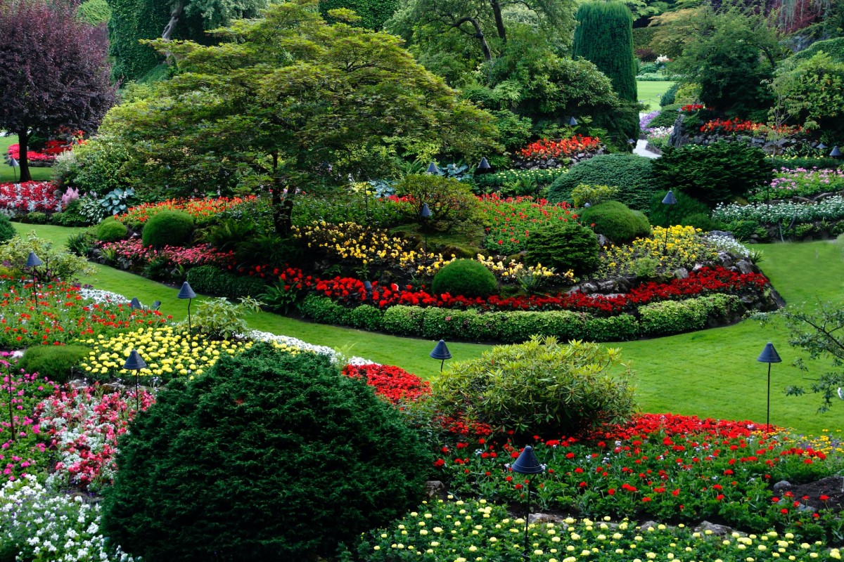 Reasons to Invest in Landscaping for Your Property