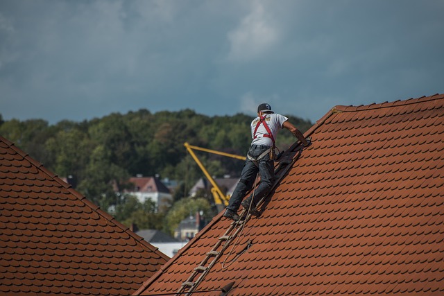 How to Take Proper Care of Your Roof? 6 Essential Tips to Follow