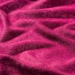 Spray camelia image 3