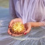 Off-shoulder White Tull Pearl Dress image 4