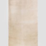 Starlight Beige image 4