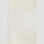 Starlight White image 4