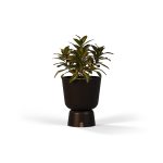 EDEN Planter A image 2