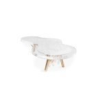 NESS Coffee Table image 3