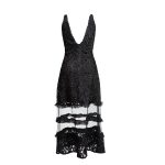 Verita 3D Lace Mesh Maxi Dress image 2