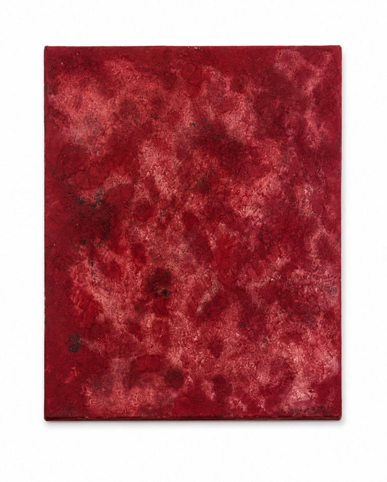 Burgundy Field