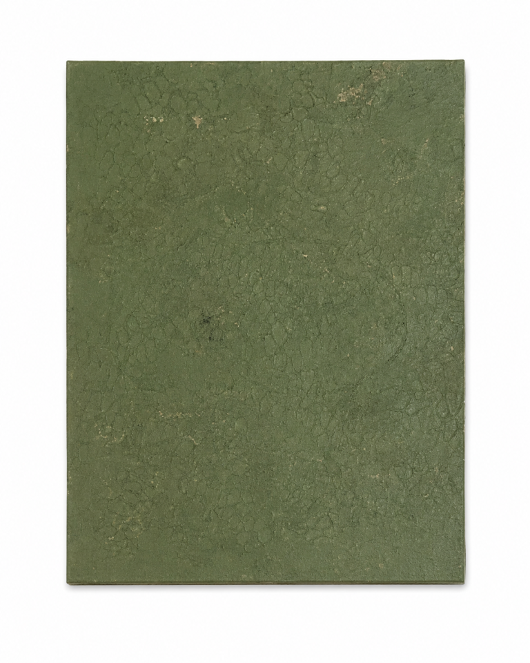 Olive Structure
