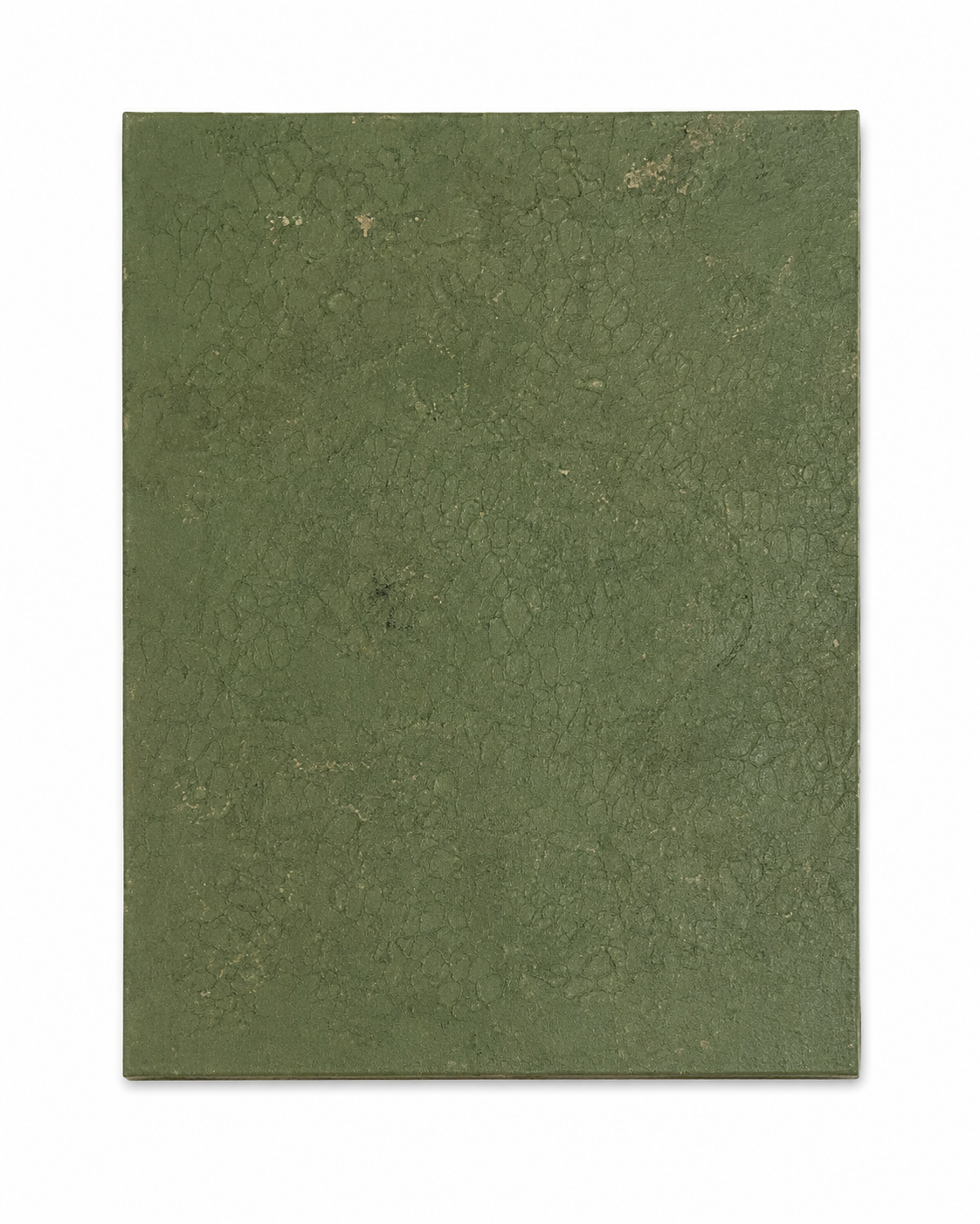 Olive Structure