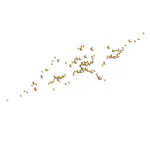 Butterfly Wall Art - Horizontal Flights image 1