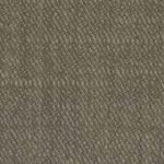 Warm Grey