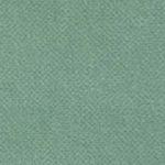 Green Duck Egg