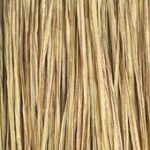 Rattan