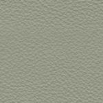 Pale Green