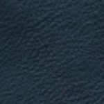Steel Blue
