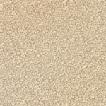 A61