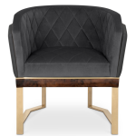 Anguis Armchair image 1