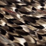 Folie Feathers image 2