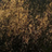 Gold Rubbed Black