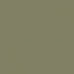 Green Moss RAL 7003