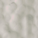 Hammered Brushed Nickel