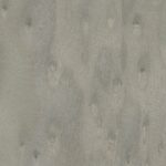 Stone Bird Eye Veneer
