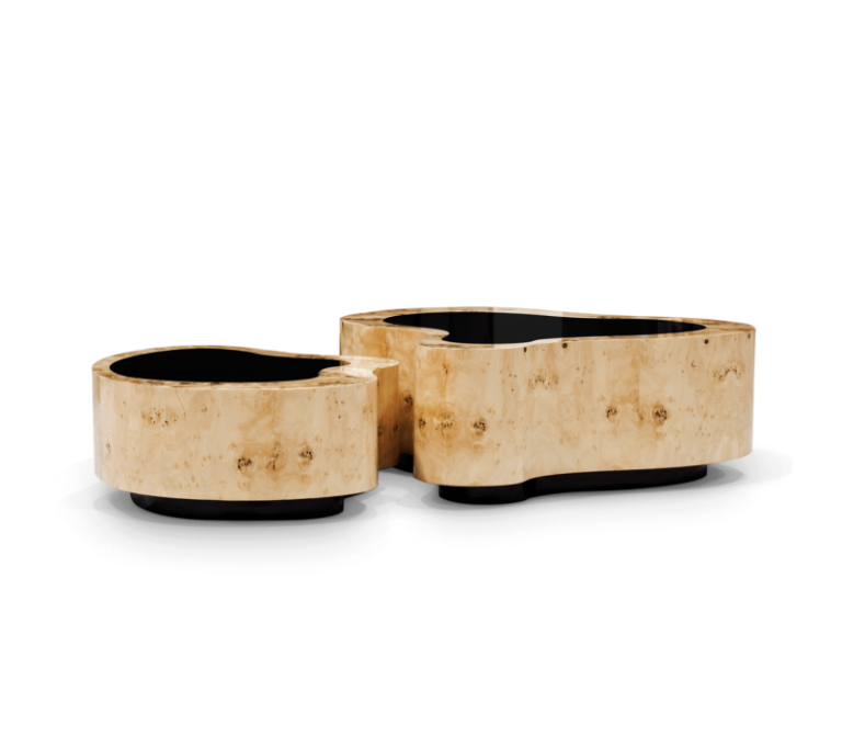 Wave Big Poplar Root Center Table