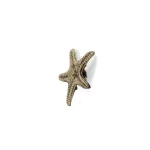 Linckia Drawer Handle OC2012 image 3