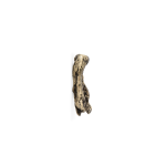 Limb Drawer Handle EA1027 image 3