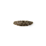 Fungi Drawer Handle EA1034 image 3