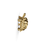 Turtle Drawer Handle KD7022 image 3