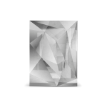 Fractal Logo Mirror image 6