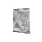 Fractal Logo Mirror image 5
