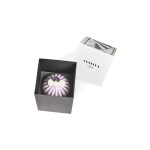 Ornella Lavender image 4