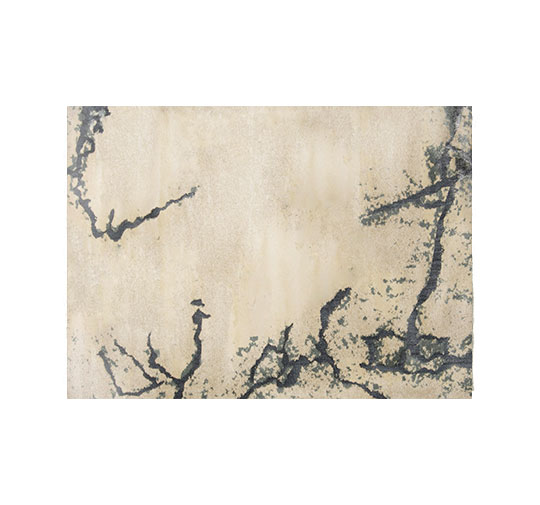 Gobi Rug