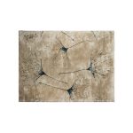 Macushi Rug image 1