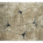 Macushi Rug image 1