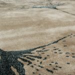Macushi Rug image 4