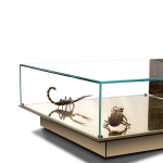 Metamorphosis Emperador Center Table image 4