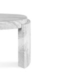 Tacca Center Table image 6